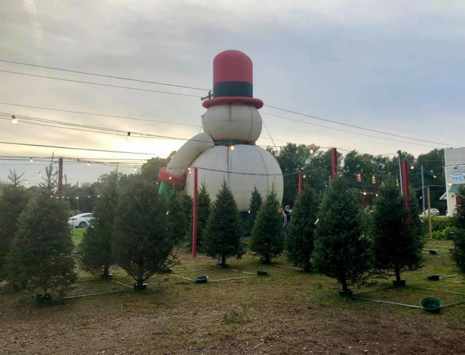 A gigantic inflatable snowman marks the Beech Mountain Farms’ Christmas tree-purchasing location in Beaufort, South Carolina.