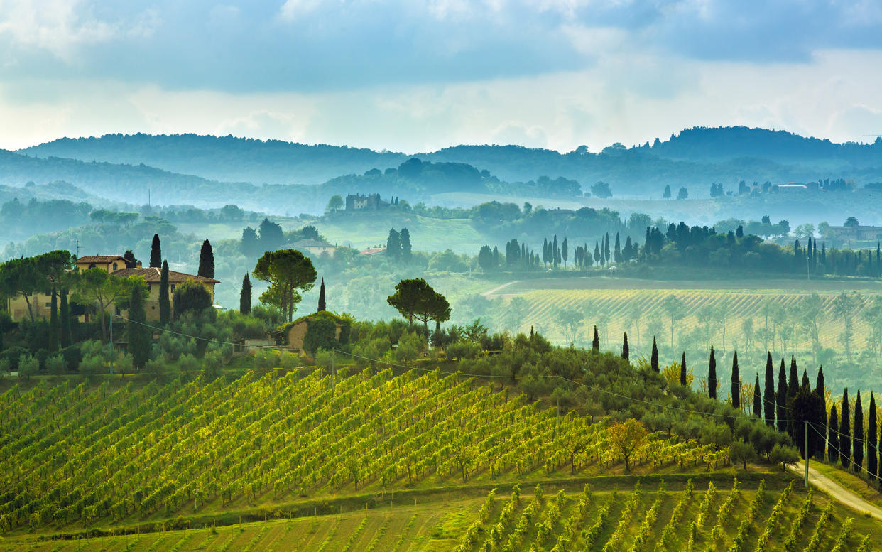 Vineyards in the Chianti region of Italy - © 2014 Peter Zelei