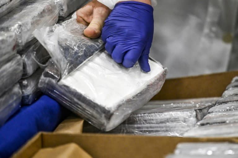 Zollbeamte haben in einem Container am Hamburger Hafen 243 Kilogramm Kokain entdeckt. Die Drogen waren in sechs Sporttaschen versteckt und fielen bei einer Routinekontrolle am Hafenterminal auf, wie das Hauptzollamt in der Hansestadt mitteilte. (PATRICIA DE MELO MOREIRA)