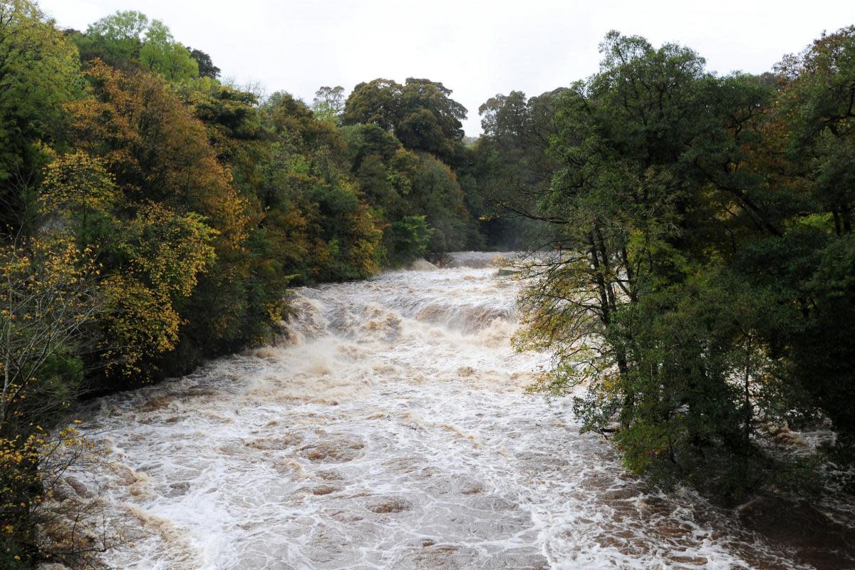 The River Swale <i>(Image: NORTHERN ECHO)</i>