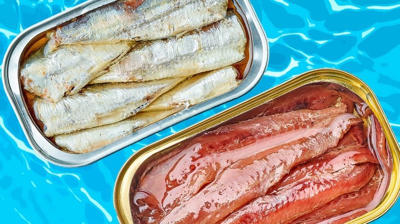 canned sardines and canned anchovies