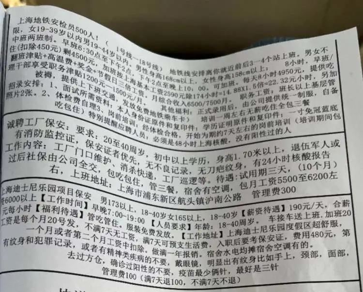 「迪士尼」開宗明義地在招聘資訊上公告「去過方艙、確診過陽性的不要」。   圖：擷自「周到上海」