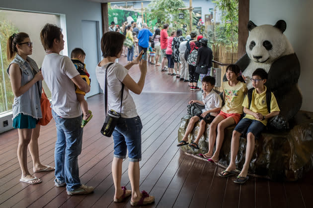 SINGAPORE - MARCH 25: Visitors take photographs with a Giant Panda replica during a media tour ahead of the opening of River Safari at the Singapore Zoo on March 25, 2013 in Singapore. The River Safari is Wildlife Reserves Singapore's latest attraction. Set over 12 hectares, the park is Asia's first and only river-themed wildlife park and will showcase wildlife from eight iconic river systems of the world, including the Mekong River, Amazon River, the Congo River through to the Ganges and the Mississippi. The attraction is home to 150 plant species and over 300 animal species including 42 endangered species. River Safari will open to the public on April 3. (Photo by Chris McGrath/Getty Images)