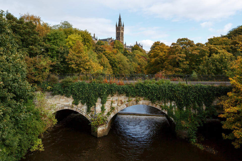 Lush trees and a bridge in Glasgow.