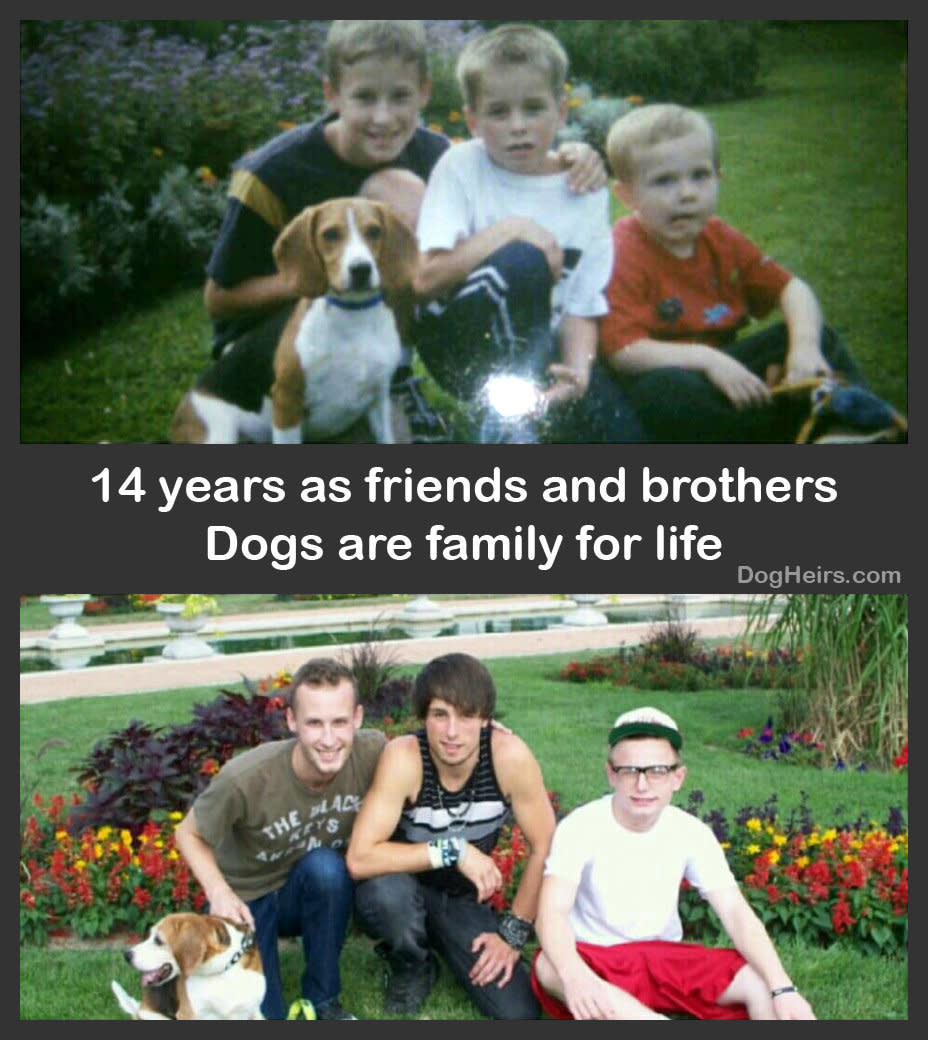 "14 years as friends and brothers :)" - Submitted by Cathy Donges Dashley 
