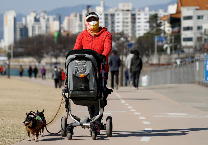 A woman wearing a mask following the rise in confirmed cases of coronavirus disease (COVID-19), takes a walk with her pet dogs at a park in Daegu