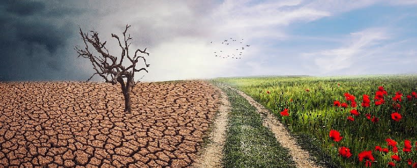 Riesgos del cambio climático: cómo evaluarlos y gestionarlos a tiempo