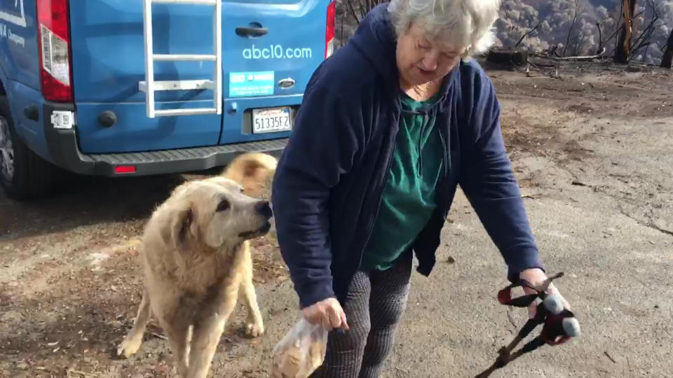 In this Friday Dec. 7, 2018 image from video provided by Shayla Sullivan, "Madison," the Anatolian shepherd dog that apparently guarded his burned home for nearly a month, greets his owner, Andrea Gaylord, as she was allowed back to check on her burned property in Paradise, Calif. Sullivan, an animal rescuer, left food and water for Madison during his wait. Gaylord fled when the Nov. 8 fire destroyed the town of 27,000. (Shayla Sullivan via AP)