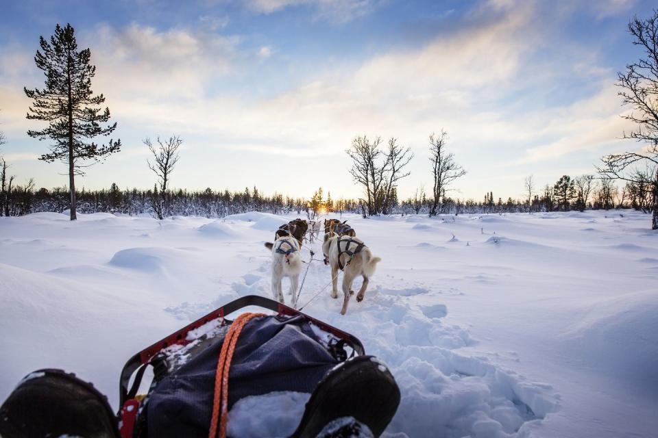 Photo credit: kjekol - Getty Images