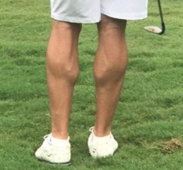 <h1 class="title">Phil Mickelson CALVES 2.png</h1>