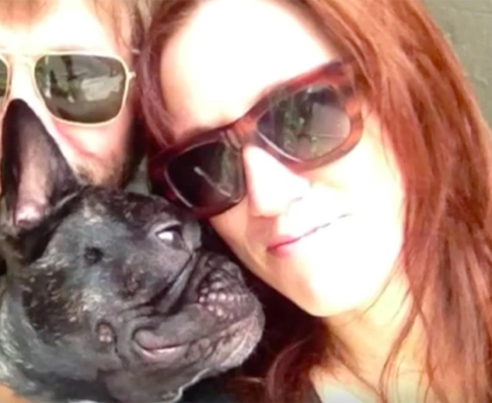 Virgin Australia tragedy: French bulldog dies after owners claim he was left on hot tarmac