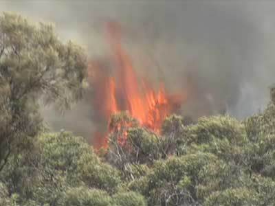 <p>Wet winter prompts fire season warning</p>