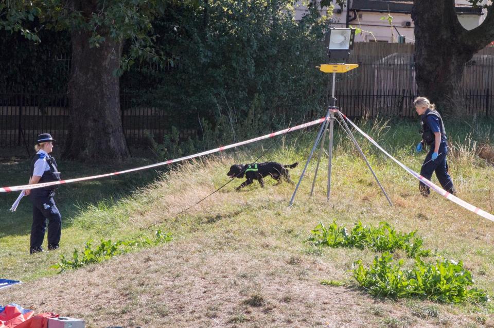 Police search in Jubilee Park, Edmonton, following the fatal stabbing of a 29-year-old man (Rick Findler/PA)