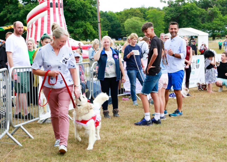 East Anglian Daily Times: The day features many activities all aimed towards mans best friend 