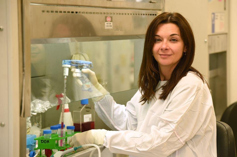 墨爾本大學微生物學和免疫學教授凱瑟琳·凱吉爾斯卡（Katherine Kedzierska）表示，團隊發現人們的免疫系統對新冠病毒的反應與對抗流感的方式相同。   圖：翻攝自推特