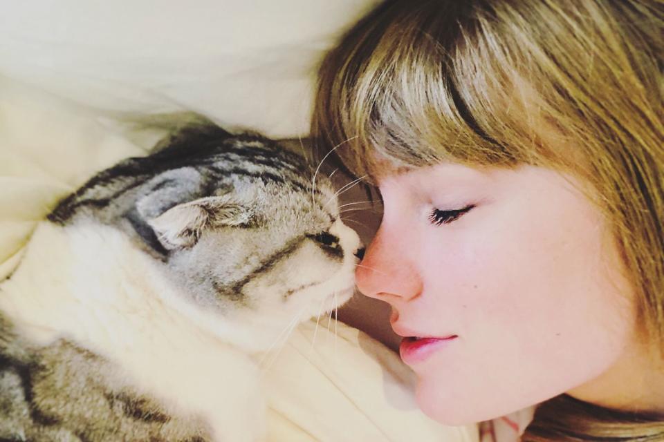 <p>Taylor Swift/Instagram</p>