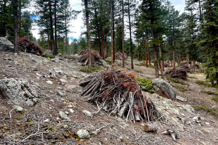 Rocky Mountain National Park proposes price changes for campgrounds