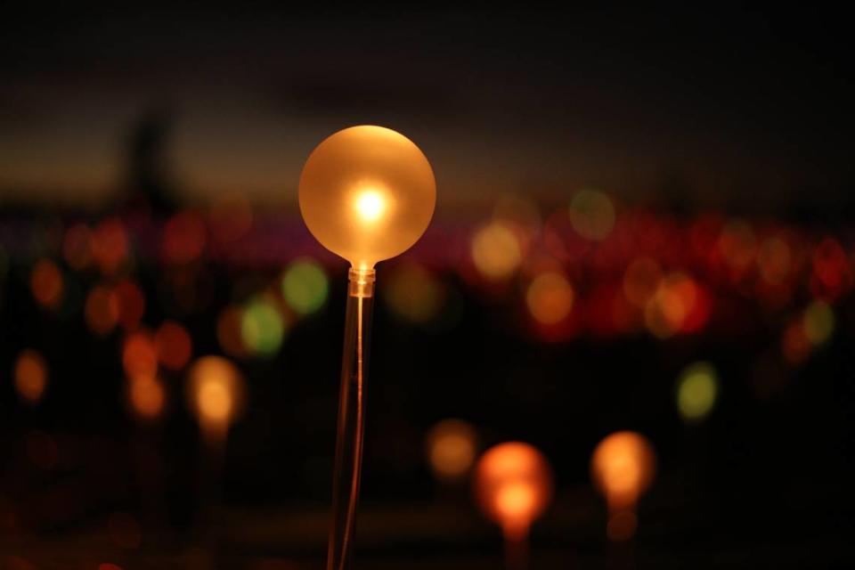 “Bruce Munro: Forest and Field of Light” opens Dec. 4 at Pinecrest Gardens.