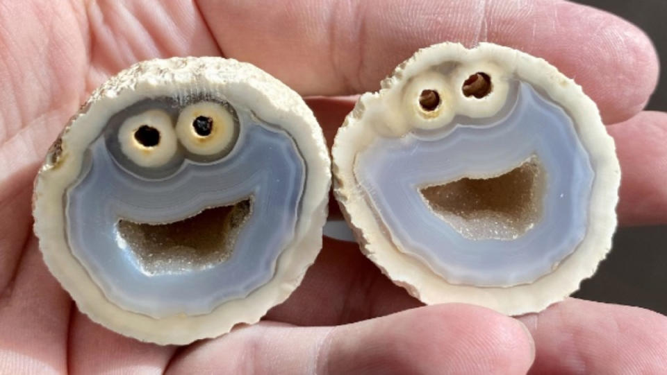 Two halves of a rock cut in half that look just like Cookie Monster's face weird news 2021