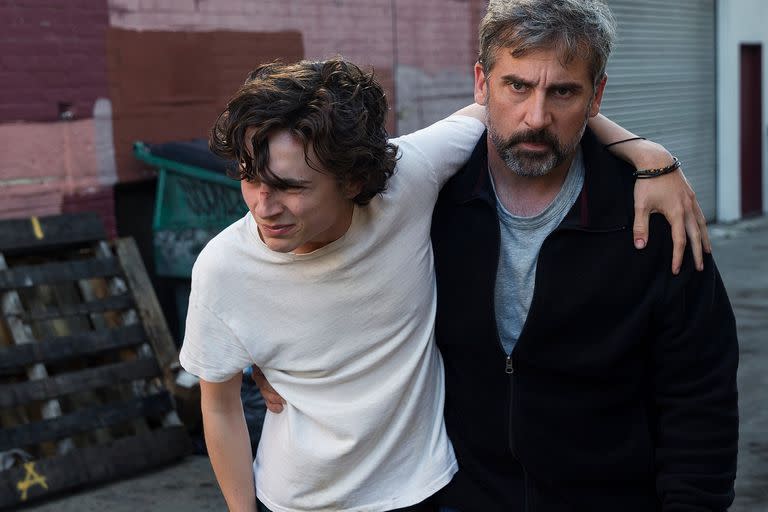 Timothée Chalamet junto a Steve Carrell en Beautiful Boy: siempre serás mi hijo