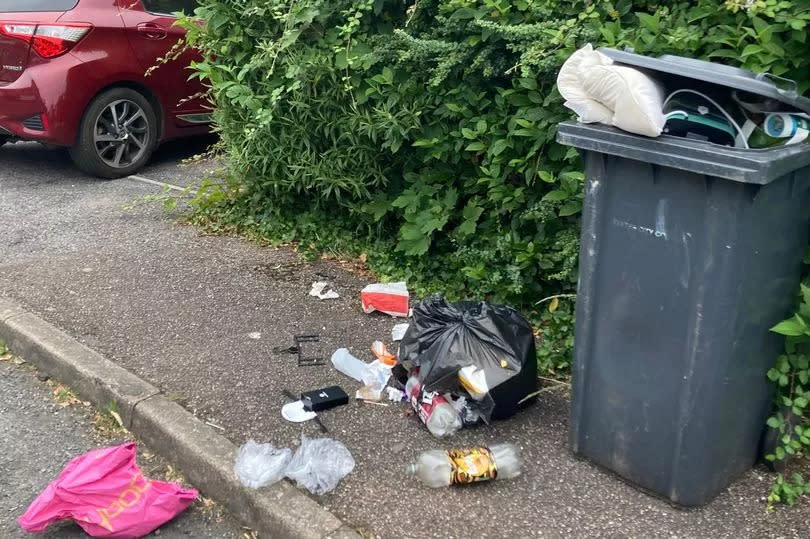 Rubbish strewn around Monterey Gardens in Exeter -Credit:Submitted