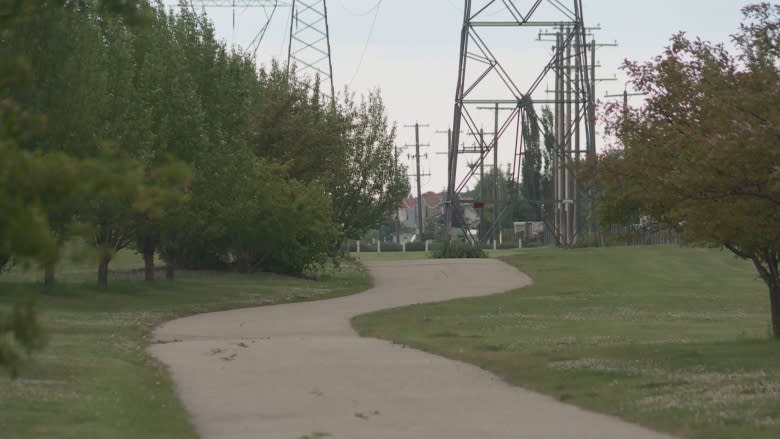 Male youth charged with spree of sexual assaults in north Edmonton