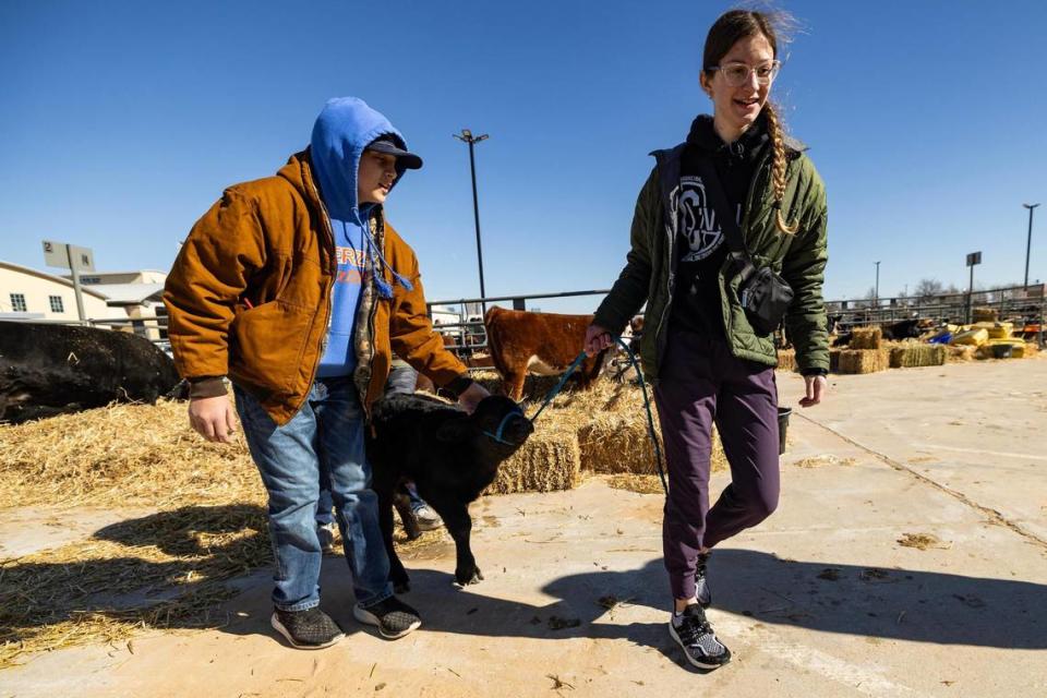 Jevin Gonce left, and Abigail Neyland attempt to move one of the newborn twins into their outside pen in the Cattle 2 barn at the Fort Worth Stock Show and Rodeo.