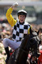 <p>Jockey Blake Shinn riding Viewed celebrates as he returns to scale after winning the 2008 Melbourne Cup at Flemington Racecourse</p>
