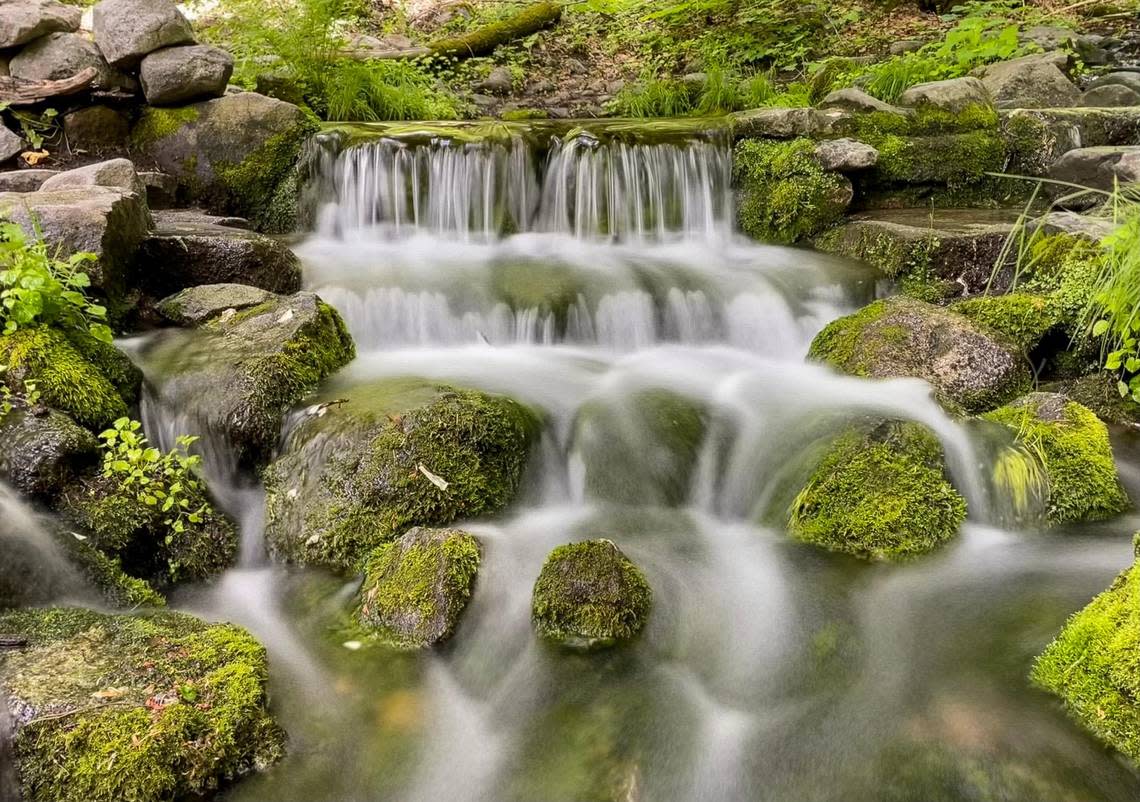 Water from Fern Spring calmly flows over small rocks in this long exposure photographed in Yosemite National Park on Tuesday, June 13, 2023. CRAIG KOHLRUSS/ckohlruss@fresnobee.com