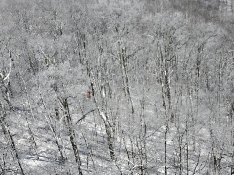 The hiker was found waist-deep in snow at a spot off the Appalachian Trail.