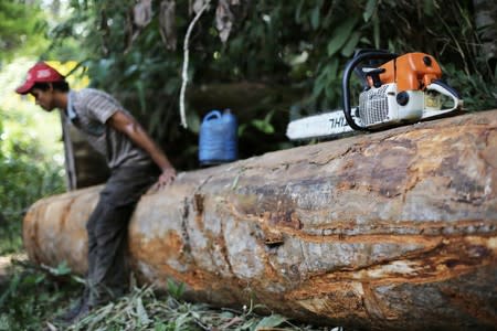 FILE PHOTO: A man sits on a tree next to his chainsaw in Jamanxim National Park near the city of Novo Progresso