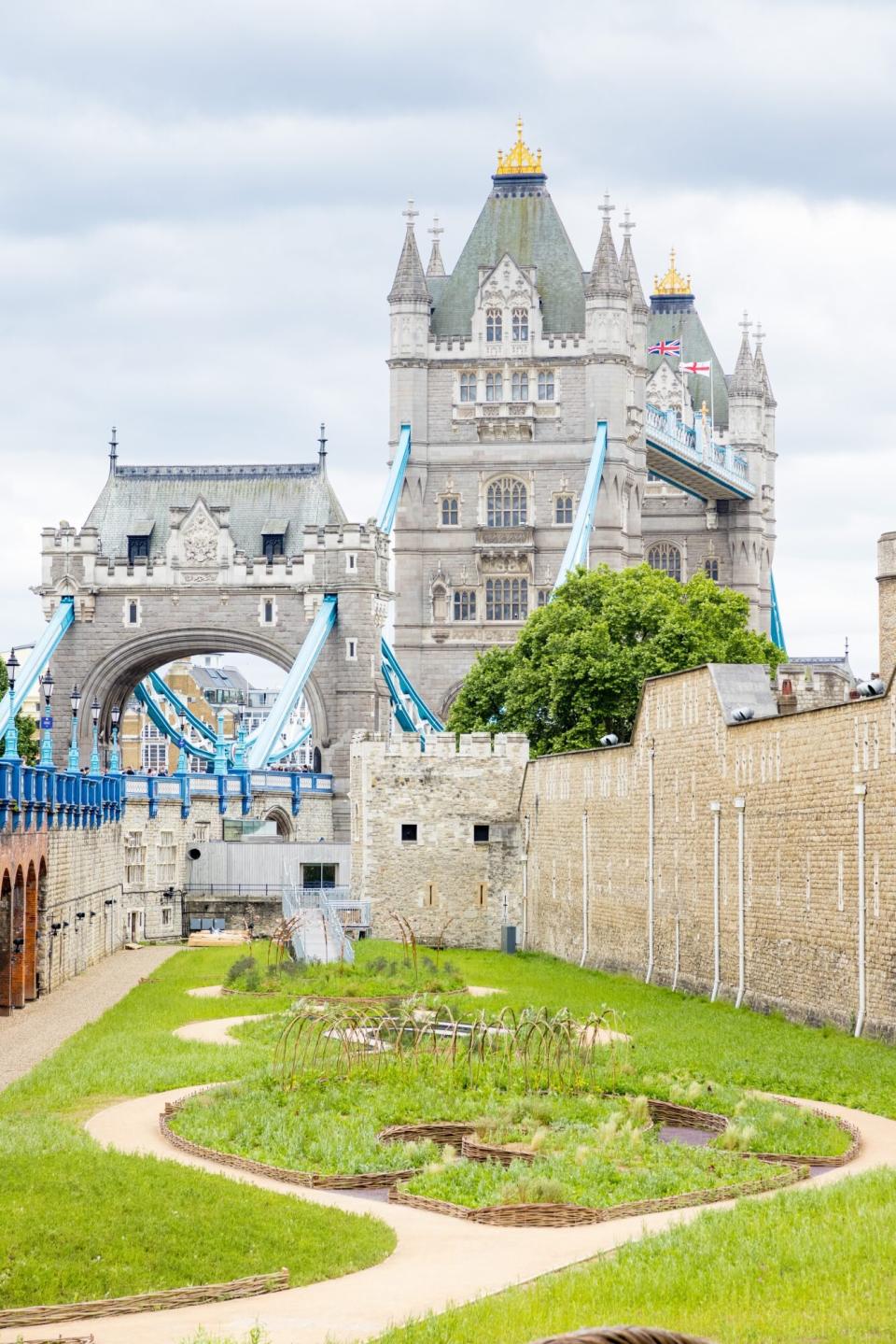 Tower of London Unveils Floral Garden to Celebrate Queen Elizabeth's Platinum Jubilee — in Its Moat! . SUPERBLOOM IMAGES AVAILABLE FOR FREE EDITORIAL USE. NO LIBRARY RIGHTS. CREDIT: © HISTORIC ROYAL PALACES.