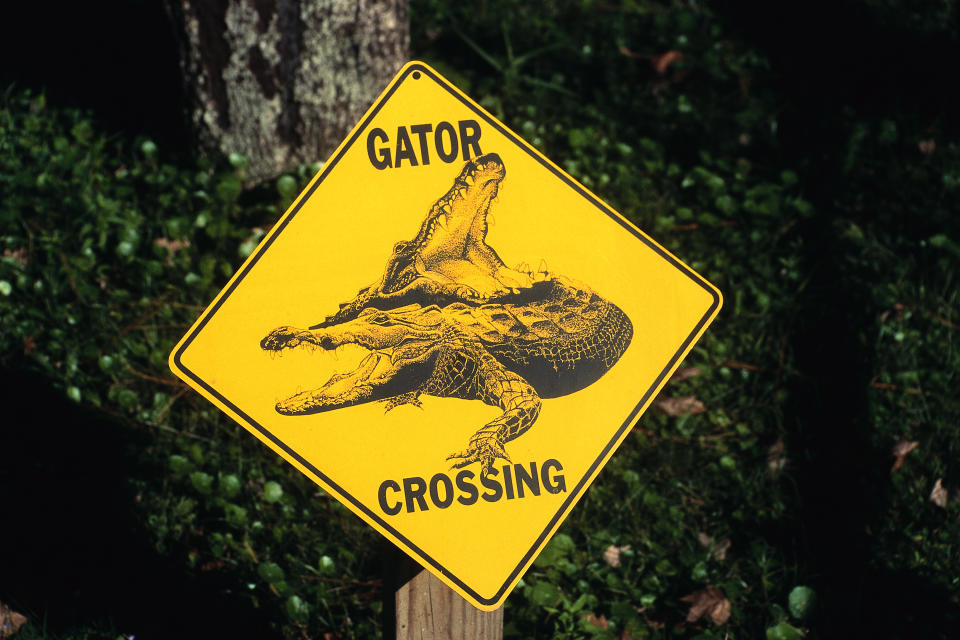 Vielleicht sollte an dem Highway in Florida künftig so ein Warnschild aufgestellt werden. 