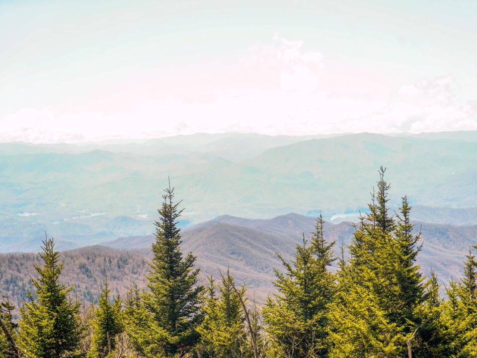 Tops of Evergreen trees in the Great Smoky mountains in the foreground with mountains and cloudy skies in the background