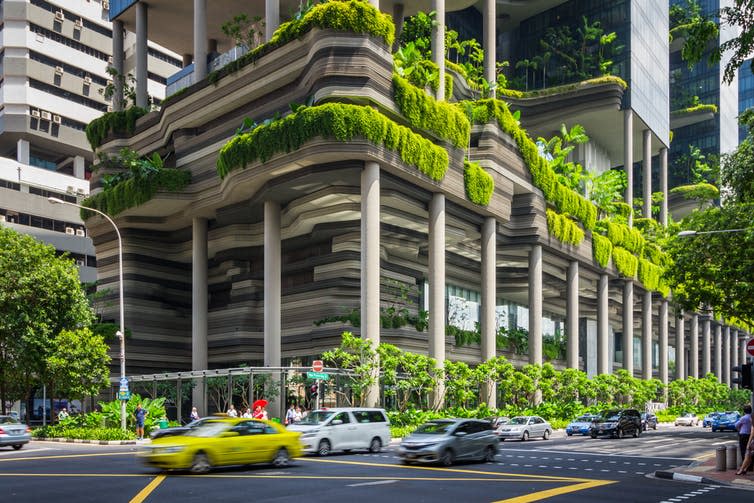 <span class="caption">The Parkroyal on Pickering Hotel in Singapore is shrouded in forested terraces and sky gardens that encourage local insects and birds.</span> <span class="attribution"><a class="link " href="https://www.shutterstock.com/image-photo/parkroyal-on-pickering-singapore-2016-hotels-483433873?src=rjZH4yexp5Cnlynj9QOlqA-1-0" rel="nofollow noopener" target="_blank" data-ylk="slk:Ariyaphol Jiwalak/Shutterstock;elm:context_link;itc:0;sec:content-canvas">Ariyaphol Jiwalak/Shutterstock</a></span>