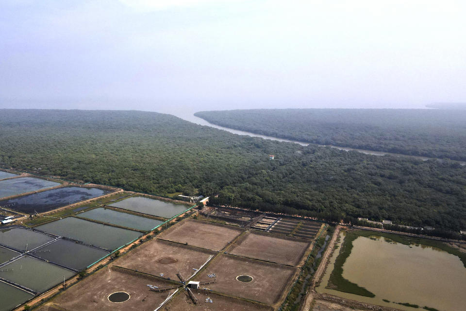 Shrimp farms, foreground, are seen alongside the Coringa Wildlife Sanctuary in Kakinada district, Andhra Pradesh, India, Wednesday, Feb. 14, 2024. Official complaints about a lack of environmental impact studies and coastal regulation violations have usually been dismissed by Indian authorities. (AP Photo/Mahesh Kumar A.)