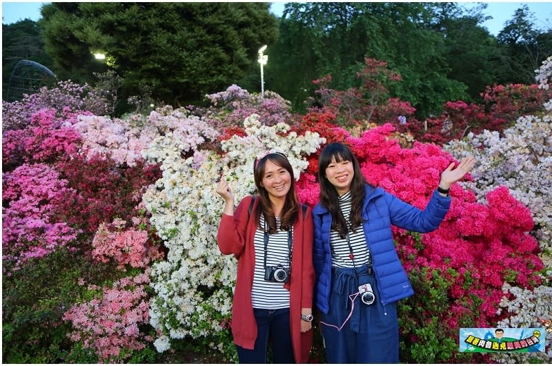 日本栃木縣｜足利花卉公園