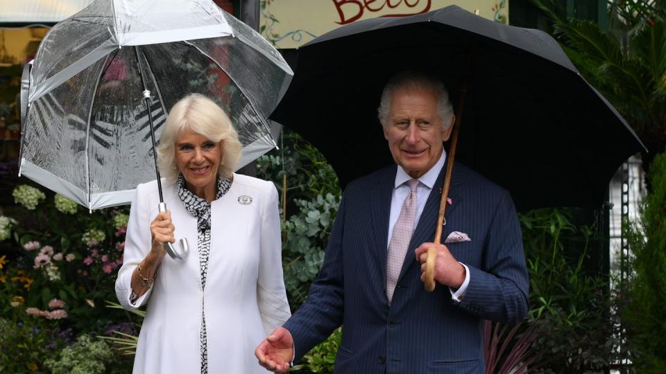king charles iii and queen camilla visit france day two