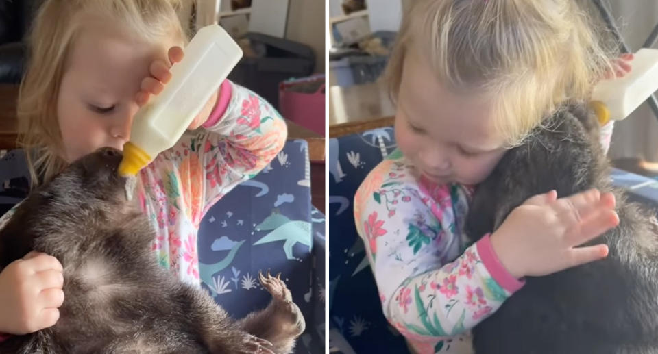 The wombat is on the toddlers lap while she feeds a bottle to it. 