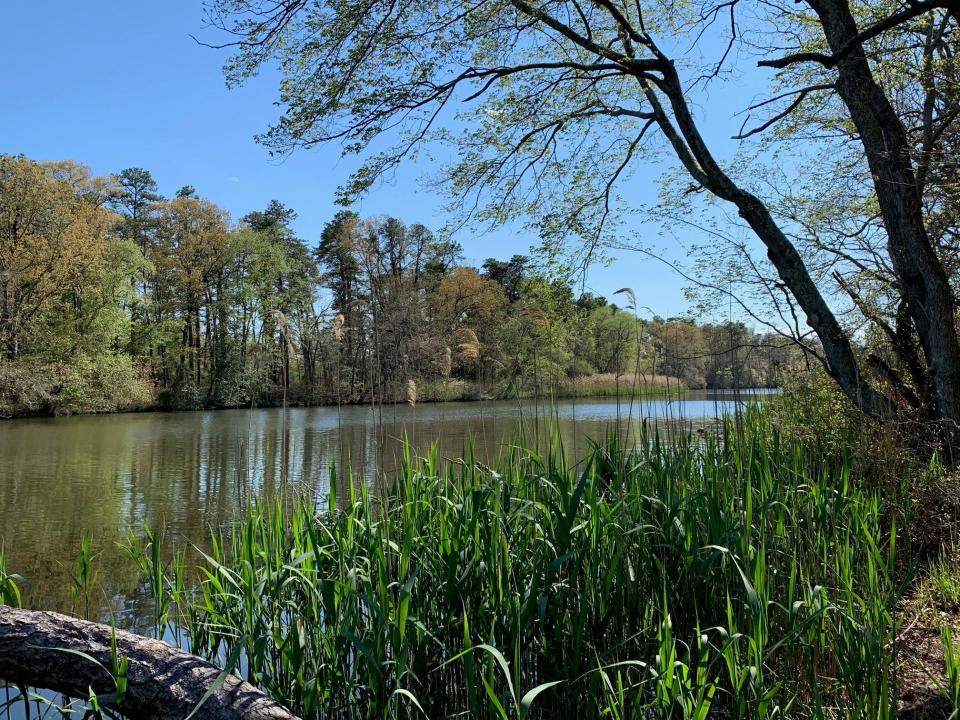 There is no shortage of beautiful views at Parvin State Park in Pittsgrove.