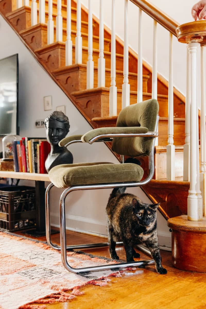 Cat walks under chair near wooden staircase.