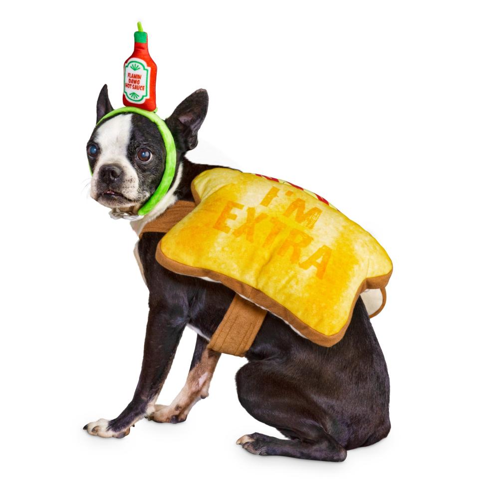 Bootique Toast of the Town Dog Costume