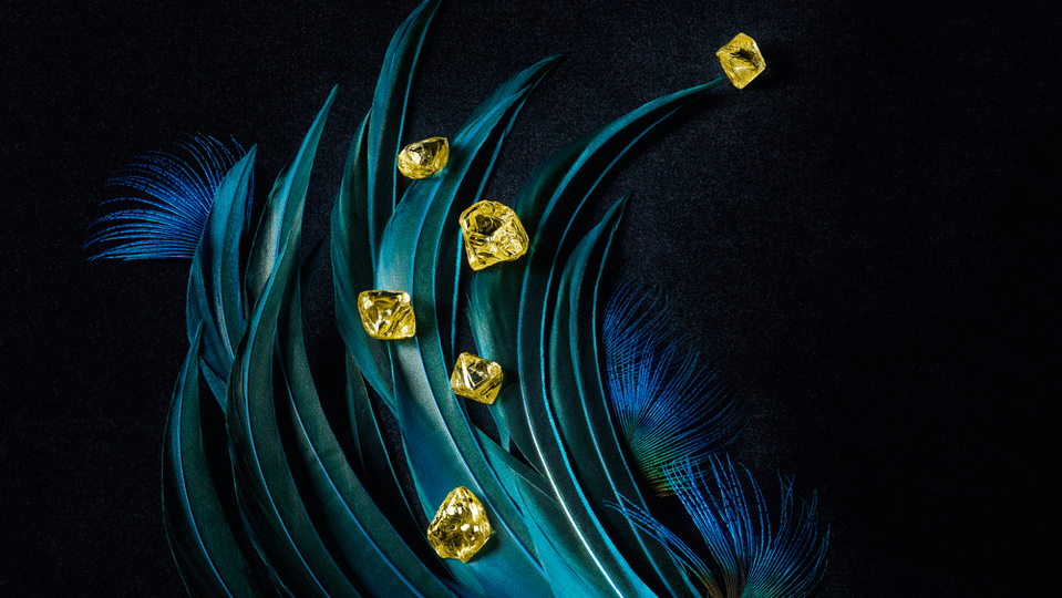 Maison Mazerea Yellow Diamonds - Credit: Maison Mazerea