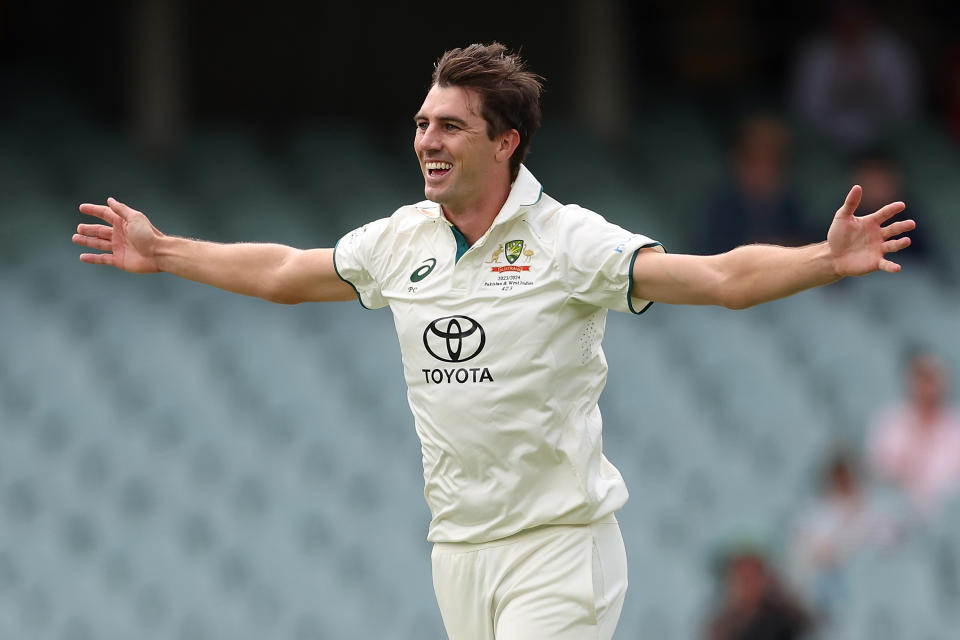 Pat Cummins celebrates a wicket.