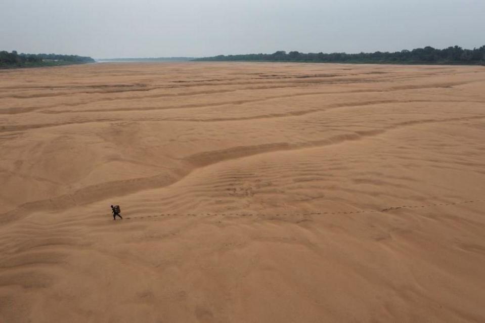 Esta foto de Lalo de Almeida, “Sequía en el Amazonas”, ganó la categoría “Individuales” en Sudamérica. . Los habitantes de Porto Praia tuvieron que caminar kilómetros por el lecho seco del río para llegar a sus casas. [LALO DE ALMEIDA, PARA FOLHA DE SÃO PAULO]