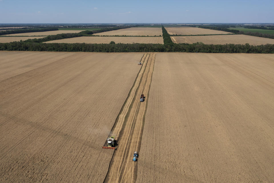 Harvesters collect wheat on a field in Krasnodar region, southern Russia, Friday, July 1, 2022. Russia is the world's biggest exporter of wheat, accounting for almost a fifth of global shipments. It is expected to have one of its best ever crop seasons this year. Agriculture is among the most important industries in Russia, accounting for around 4% of its GDP, according to the World Bank. (AP Photo)