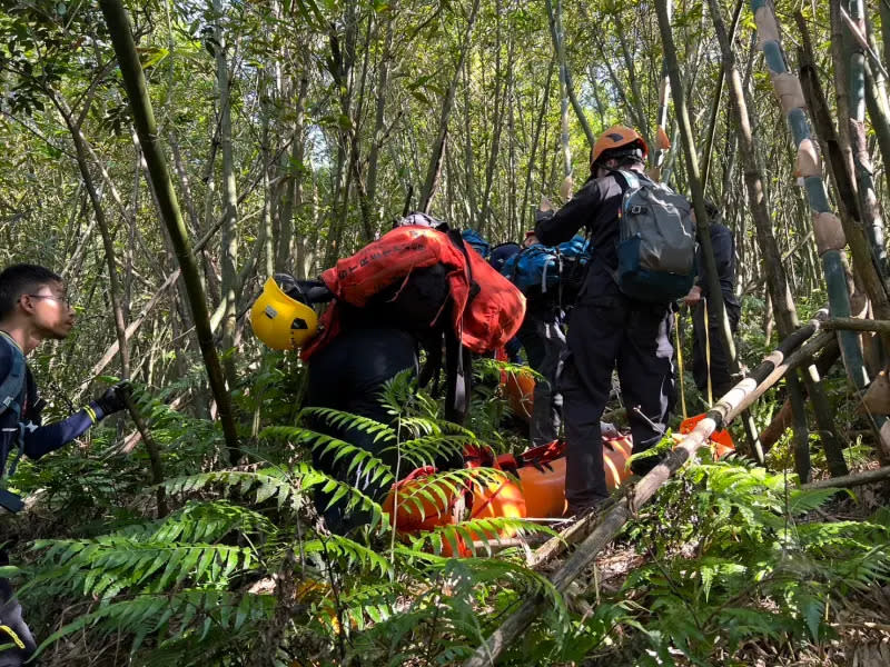 ▲瑞芳登山團11人遭蜂螫，2人命危，消防人員以捲式擔架搬運下山送醫，但仍不幸宣告不治。（圖／翻攝畫面）