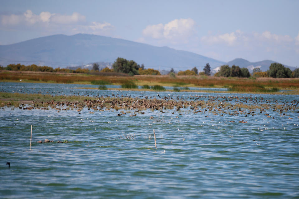 Un lago recupera su sitio y retoma el terreno que le arrebataron para un gran aeropuerto ahora abandonado