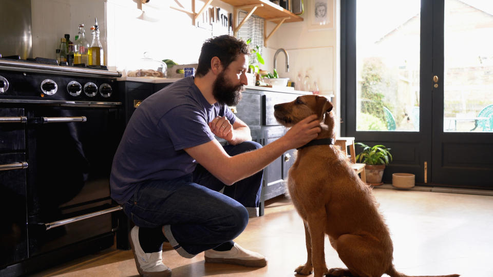 Un hombre juega con su perro