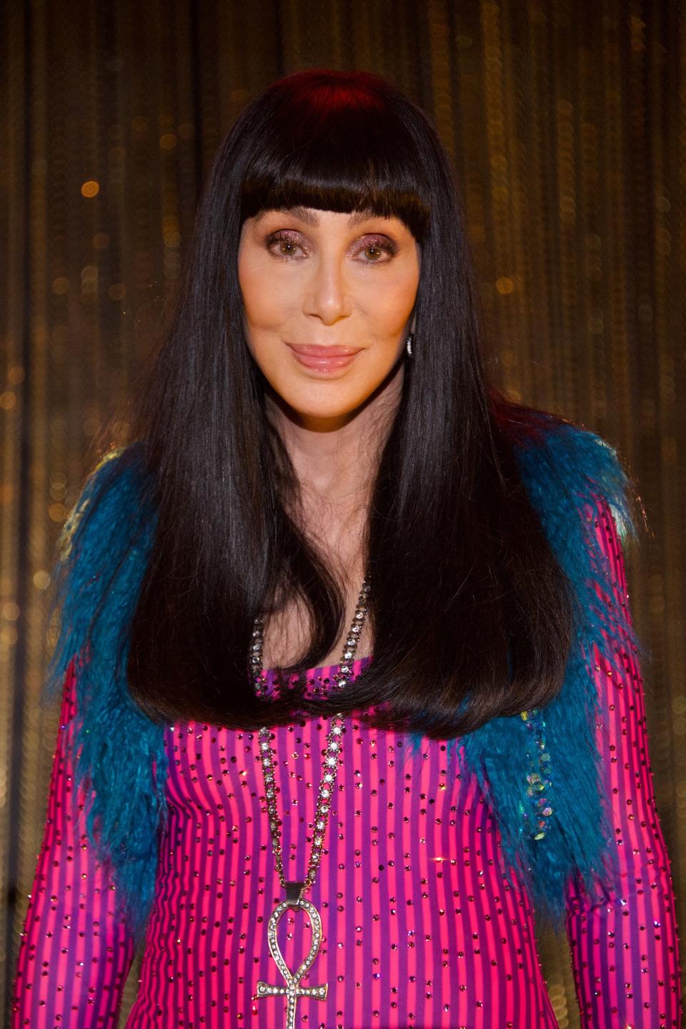 Cher for Joe Biden